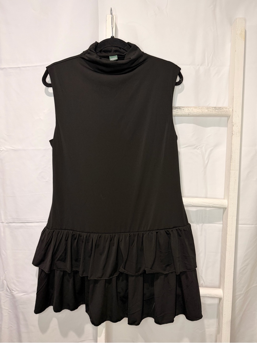 wild fable Black Sleeveless Mock-Neck Ruffle Mini Dress